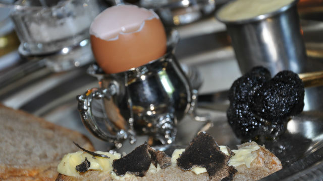 Découverte de la truffe noir du Périgord au gite la maison d'angel.